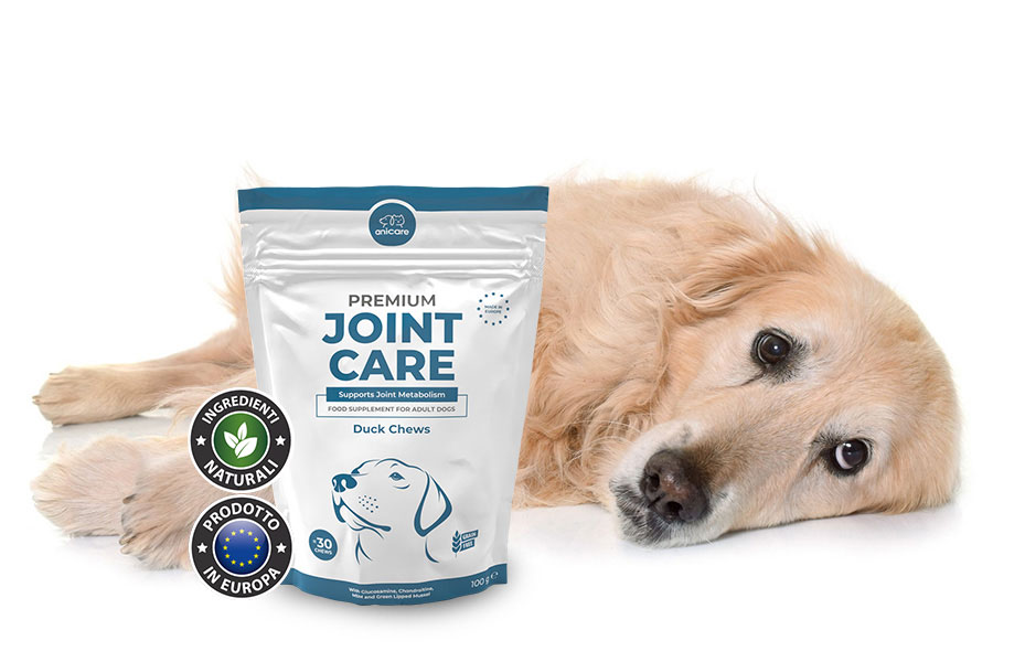 Premium Joint Care - Per articolazioni robuste e flessibili, rafforza le ossa e promuove la mobilità.