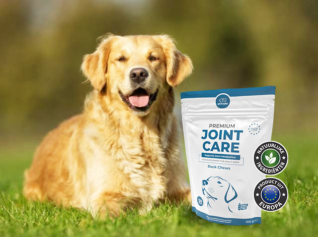 Golden Retriever liggend op een groene weide. Ernaast een pakje Premium Joint Care van Anicare