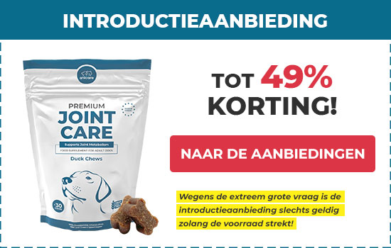 Coupon Anicare