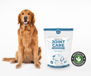 Golden Retriever sitzt vor weißem Hintergrund. Daneben eine Packung Premium Joint Care von Anicare