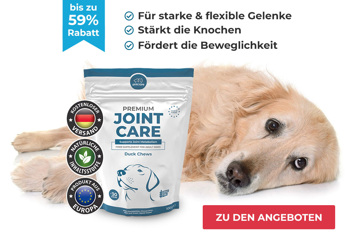 Premium Joint Care – Für stake & flexible Gelenke, stärkt die Knochen und fördert die Beweglichkeit