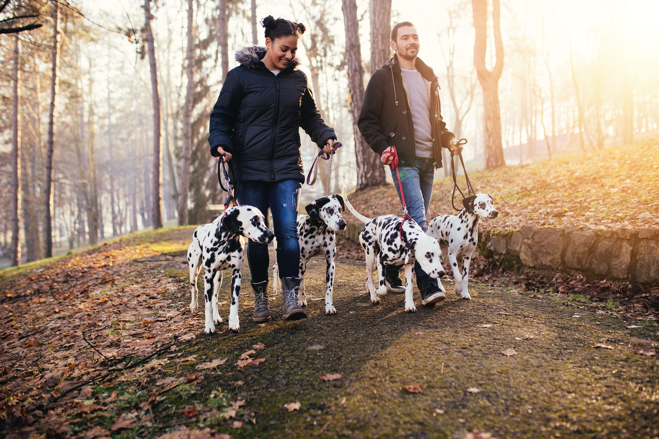 Hombre y mujer caminando por el bosque con tres perros